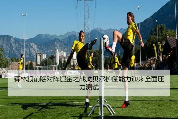 森林狼前瞻对阵掘金之战戈贝尔护筐能力迎来全面压力测试